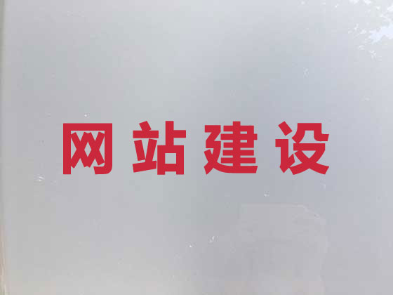 射洪市专业网站建设服务